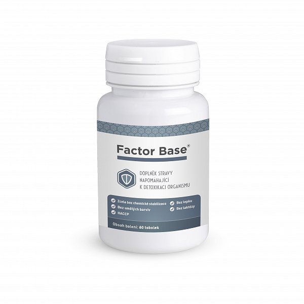 Factor Base