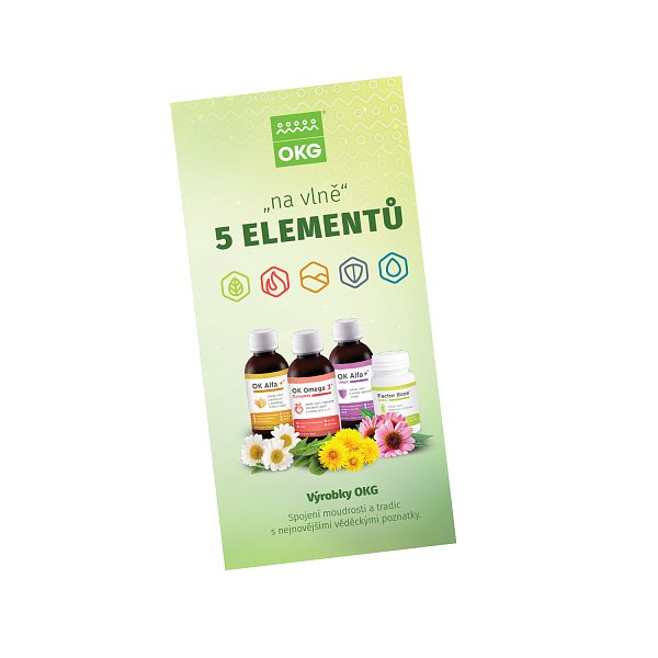 Skládačka - na vlně 5 elementů